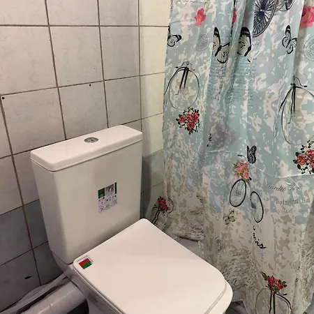 公寓 Σοφίτα 40 Τμ Στο Κέντρο Της Καστοριάς 卡斯托里亚